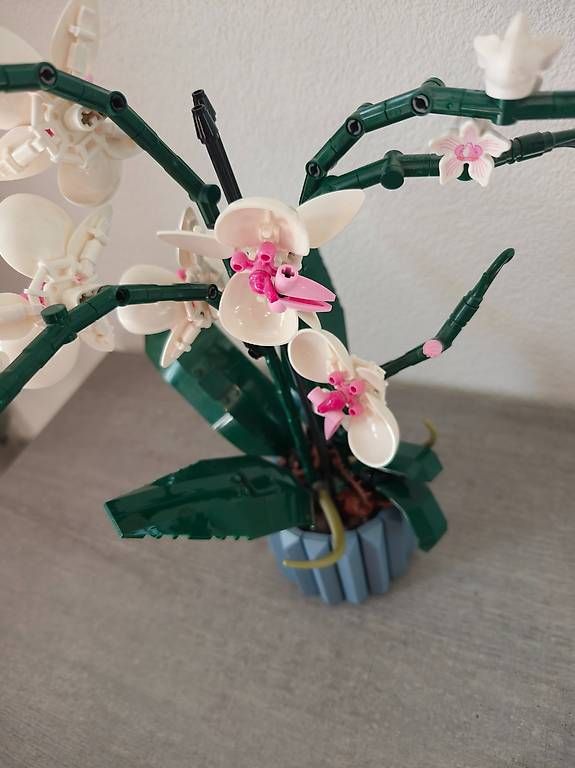 Giocattoli: Lego Orchideen Set – Usato da Kirchberg BE venduto da naa_lxk5 1