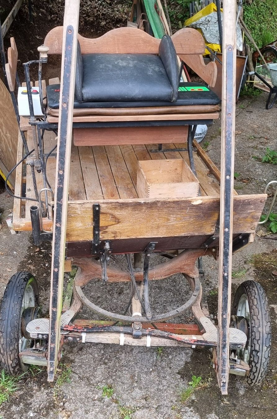 Carrozze: Leichter Einspänner mit Blinker und Beleuchtung – Usato da Bergdietikon venduto da Gabo84 2