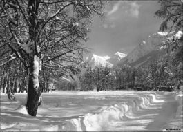 Klosters GR // Winter Diethelm-Promenade Winter Berge Alpen