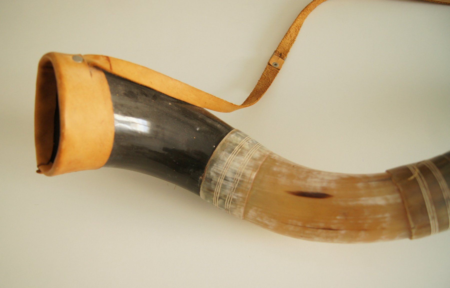 Strumenti musicali: Berrante, Horn der Gauchos in Südamerika – Usato da Fribourg venduto da erw_68dx 1