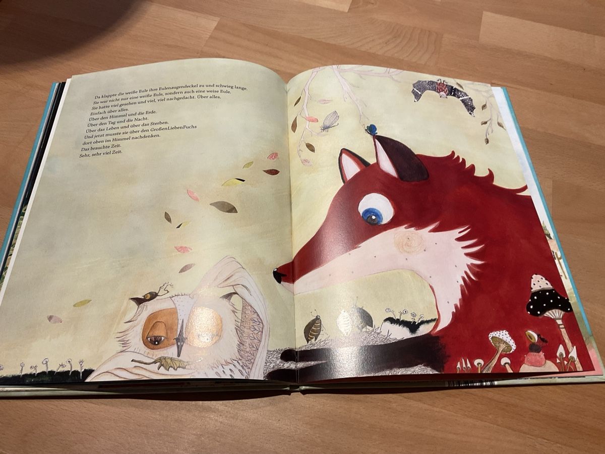 Libri: Kinderbuch KleinerFuchs Grosser Himmel 3+ – Nuovo (secondo la descrizione) da Wil ZH venduto da RiccardaWegmann 5
