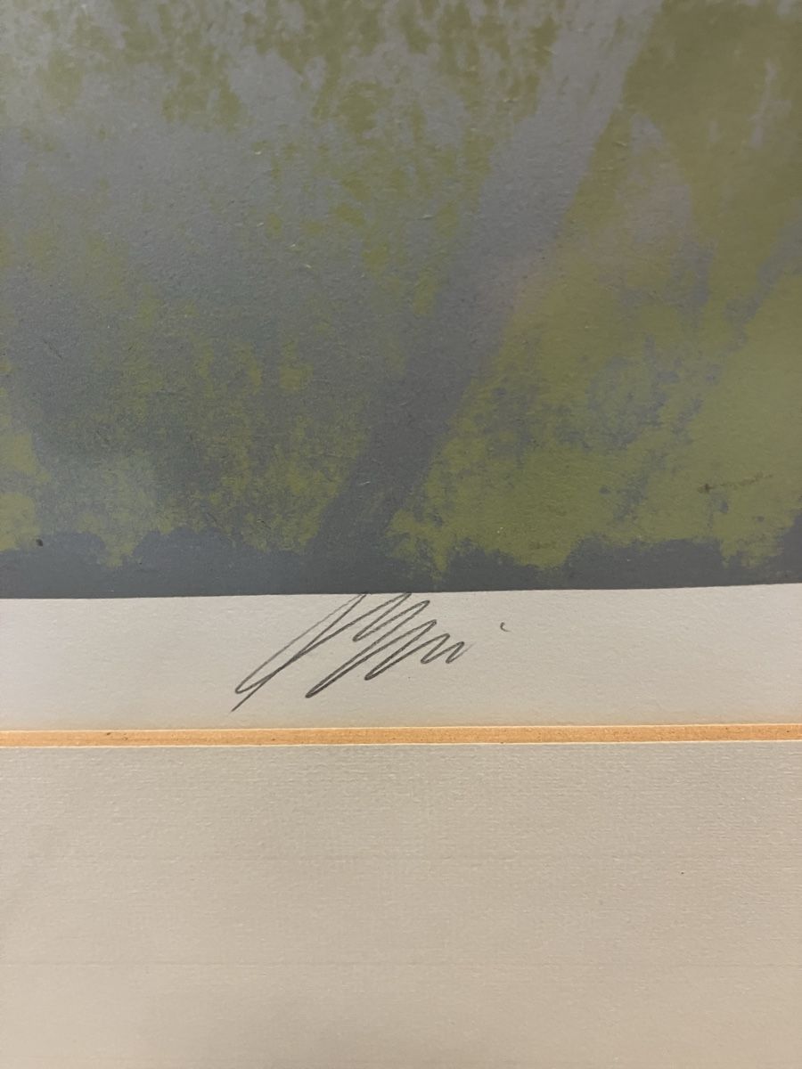 Arts picturaux & lithographies: Hans Erni original Bild – D'occasion à Reiden par Juda65 2