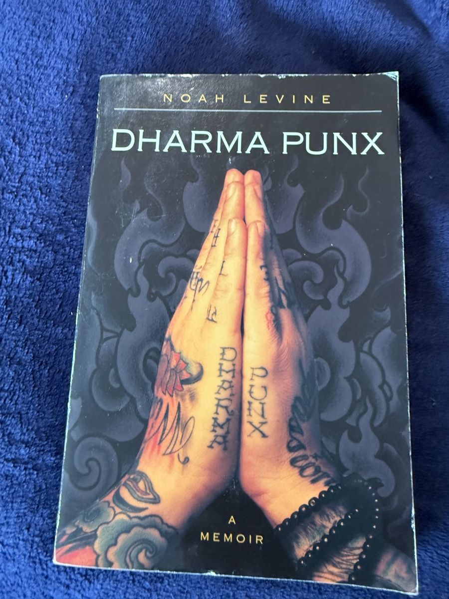 Libri: Noah Levine-Dharma Punk-Against the Stream Buchset – Usato da Birsfelden venduto da Soulseeker