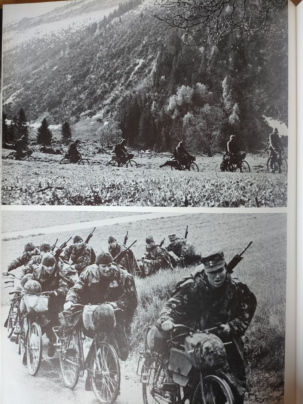Libri: Schweizer Armee Militär Buch – Usato da Schwanden Sigrisw venduto da pho_2mc9 4