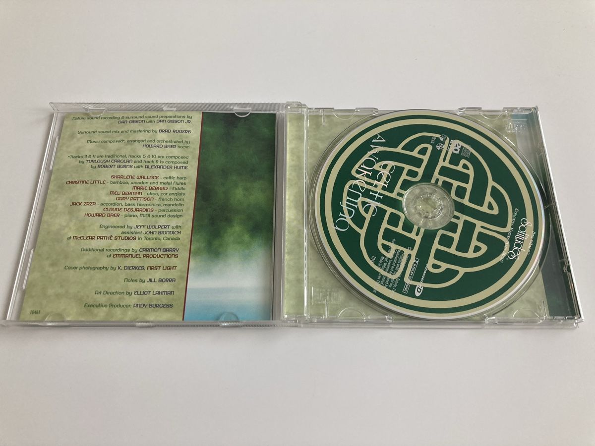 CDs: CD Dan Gibson Solitudes Celtic Awakening – Gebraucht aus Biel/Bienne von almercaa 1