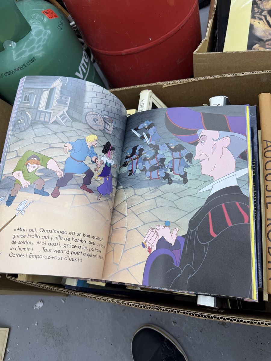 Fumetti: Le Bossu de Notre-Dame Disney 1995 – Usato da Wettingen venduto da NickInc 2