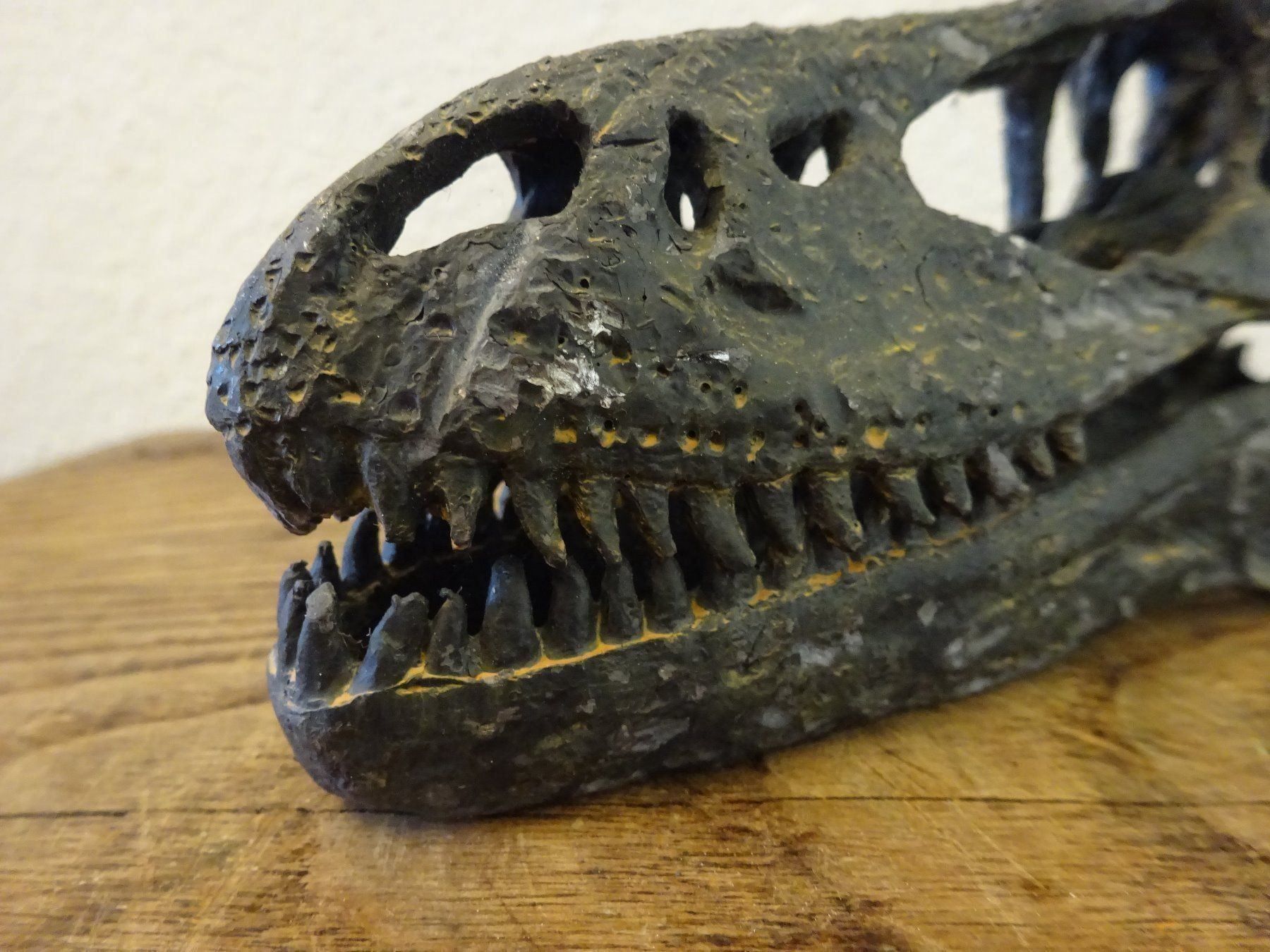 Fossili: Skulptur Schädel Saurier – Usato da Esslingen venduto da eintagammeer 8