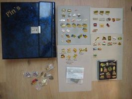Wunderschöne und wertvolle PIN Sammlung