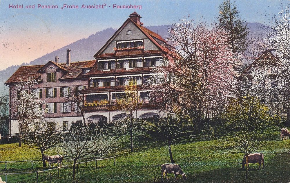 Hotel Und Pension "Frohe Aussicht " Feusisberg. (SZ) 1923 | Kaufen Auf ...