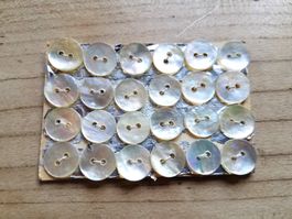 24 opalisierend Perlmutt Knöpfe Perlmuttknopf Perlmuttknöpfe
