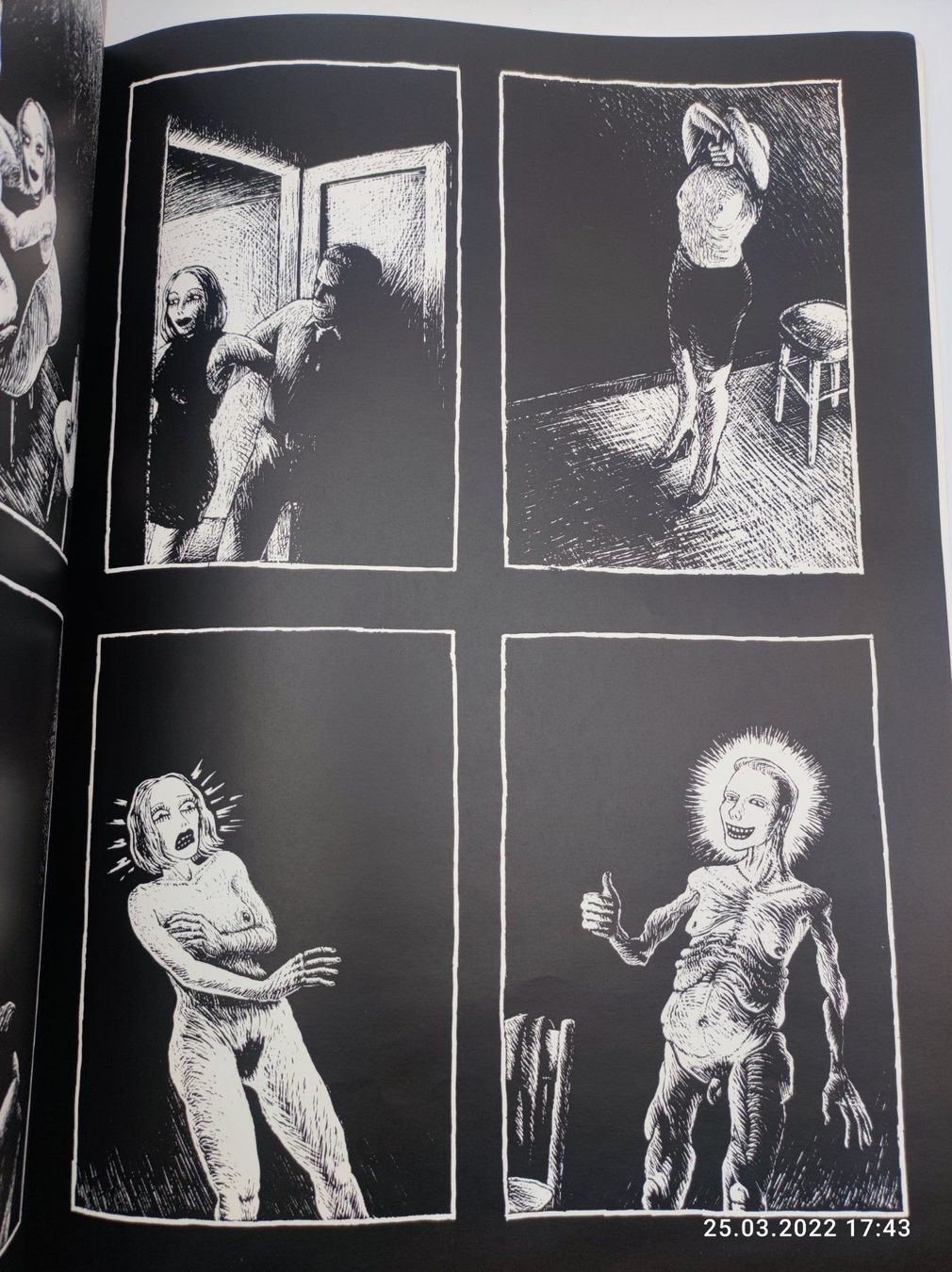 BD: STRAPAZIN - COMIC-ART - NUMMERIERT – D'occasion à Goldach par Gaip 6