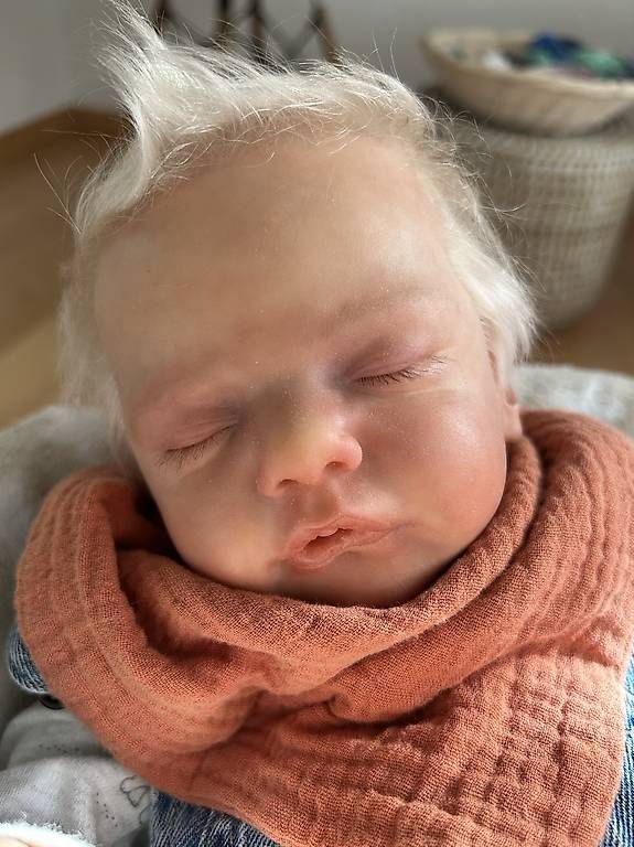 Puppen: Reborn Baby  – Neu und originalverpackt aus Baden von Nadinefischli 1