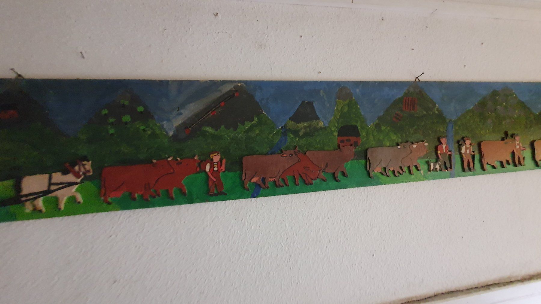 Foto & Immagini: Appenzeller Bild – Usato da Flawil venduto da Naphtali 3