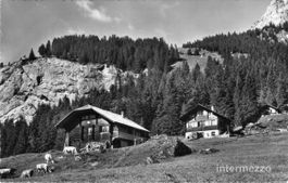 Kiental BE // 1953 Ferienhütte Chalet Bergahorn Gornern