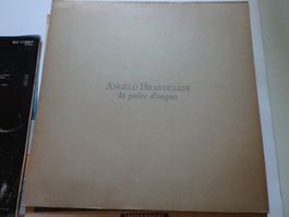 LP Angelo Branduardi   la pulce d'acqua
