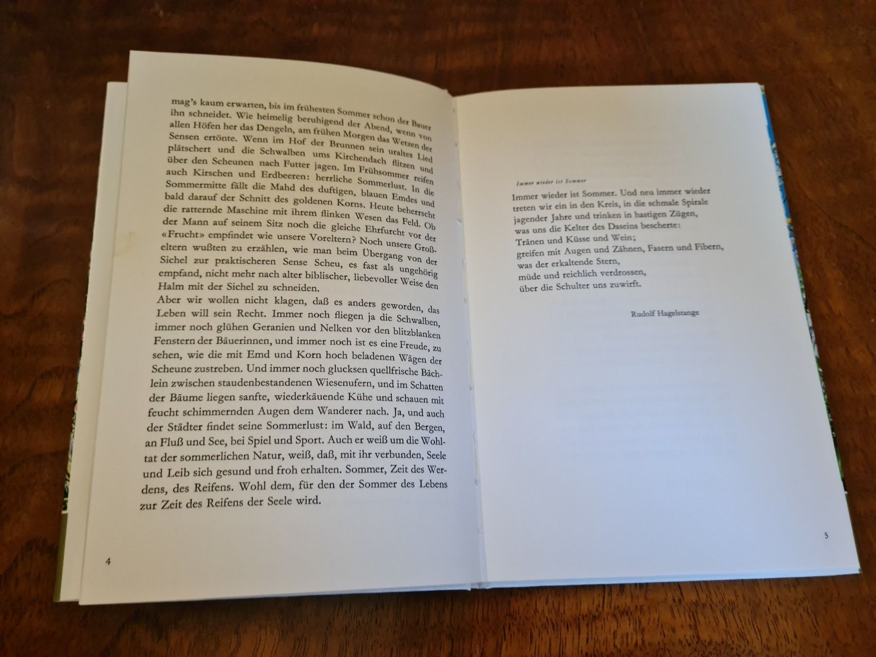 Libri: Immer wieder ist Sommer – Usato da Erstfeld venduto da Uhu1980 1