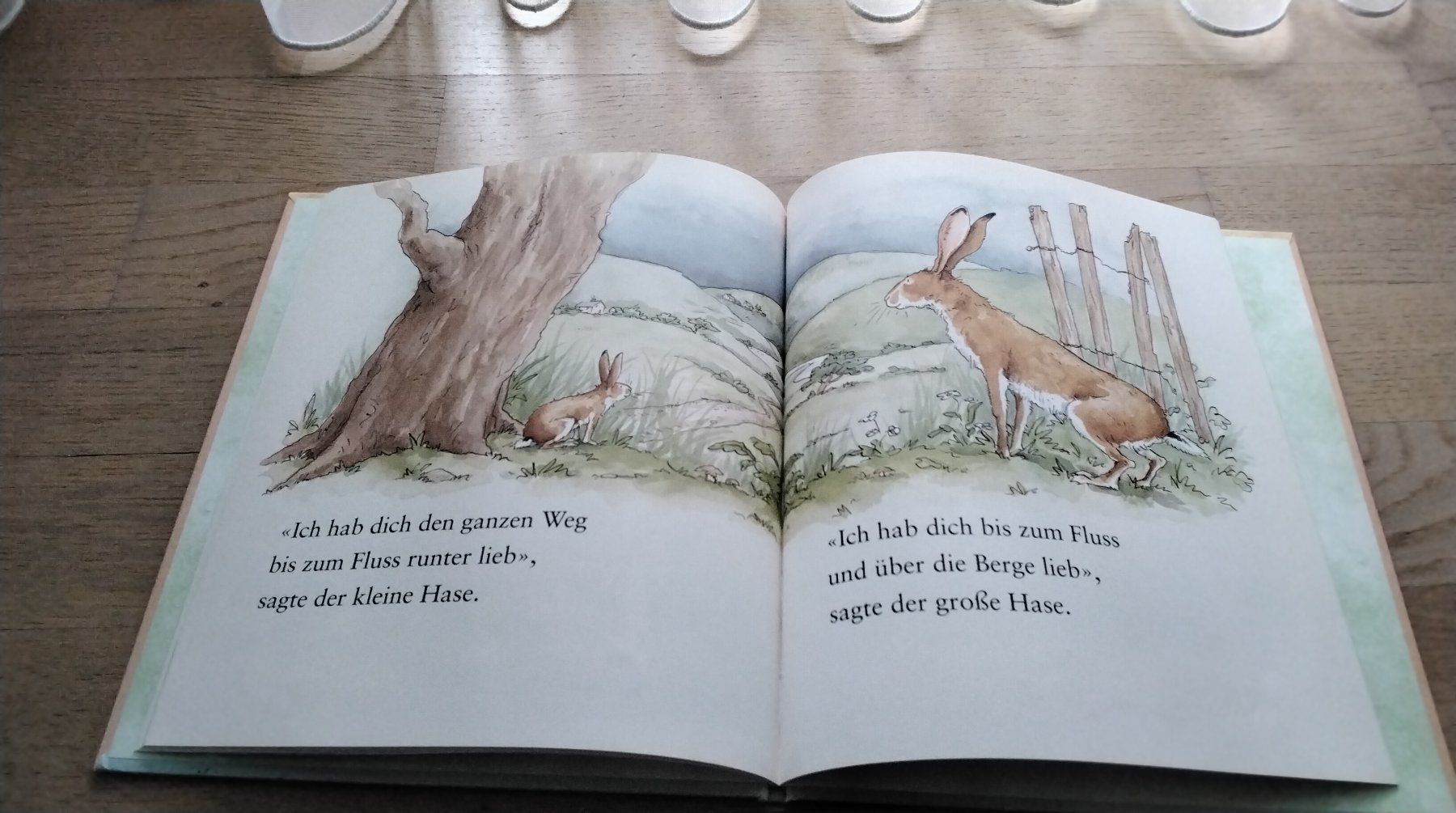 Libri: Weisst du eigentlich, wie lieb ich dich hab? – Usato da Steinhausen venduto da pinu09 2