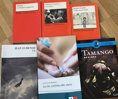 Französisch Literatur Bücher