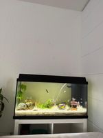 Aquarium