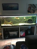 Aquarium kompl.