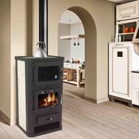 56312 - Kaminofen 10kW Backfach + Herdplatte EEK A