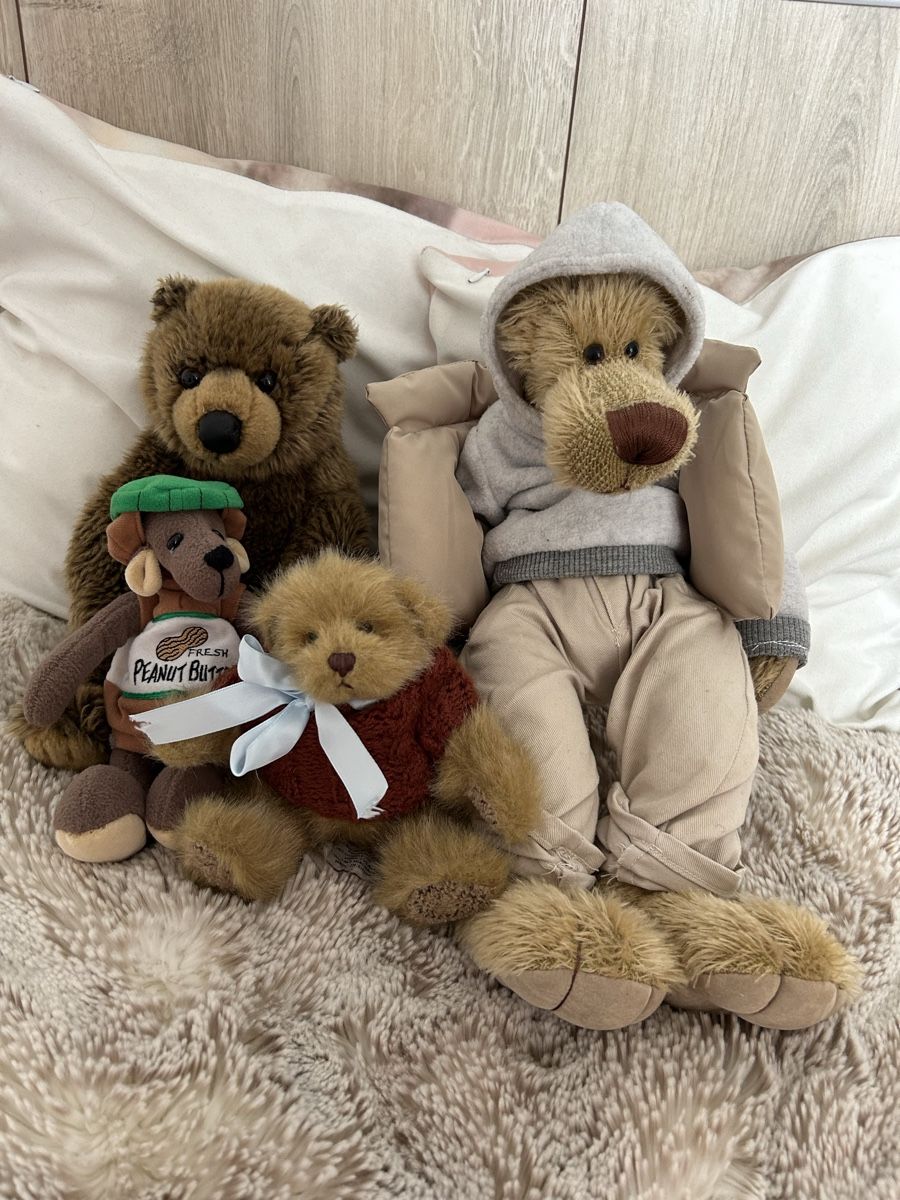 Giocattoli: Teddy Bären – Usato da Zürich venduto da robbii13