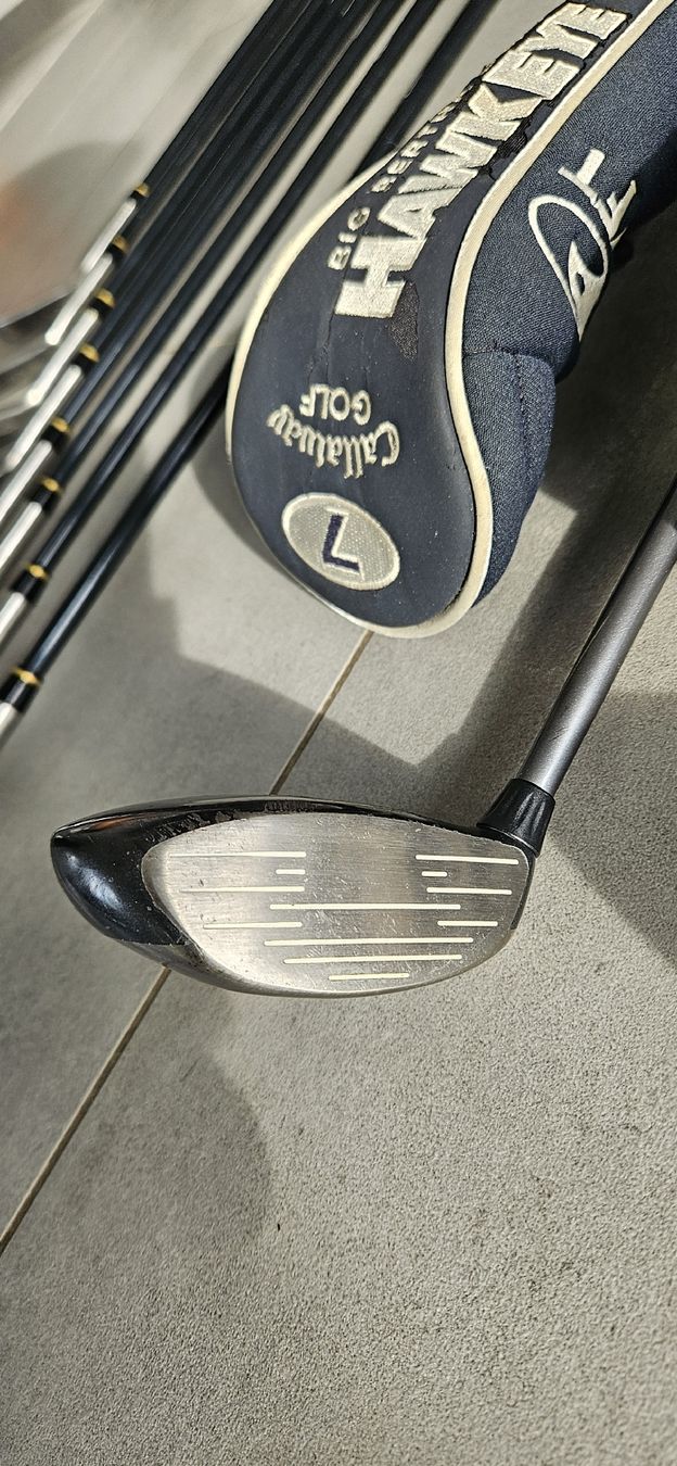 Mazze & Set: Golfschläger Set Harvey Penick, inkl. Ping Bag – Usato da Oberrieden venduto da adrian_m_1977 6