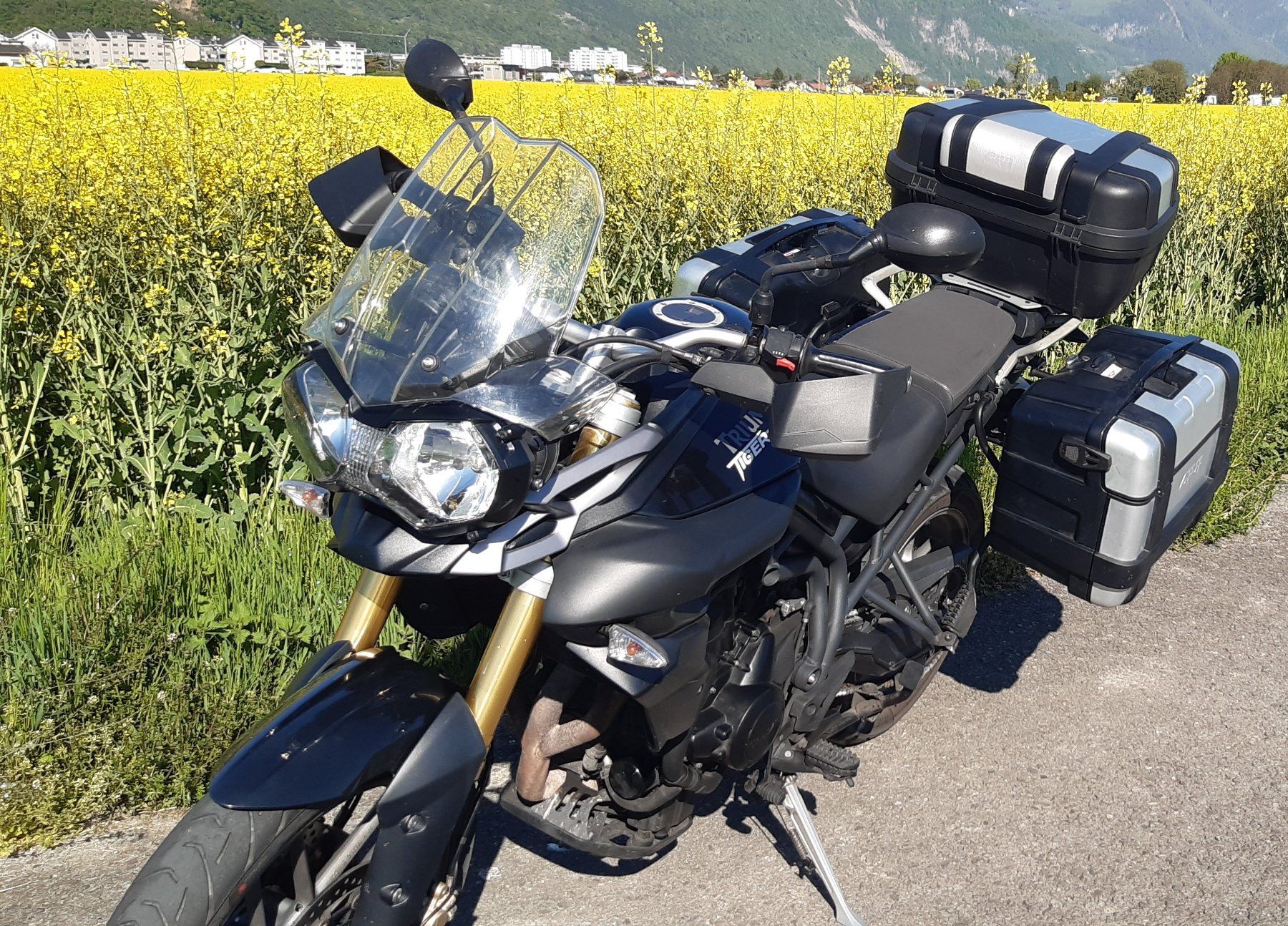 Triumph Touring: Triumph Tiger 800 ABS – Usato da Collombey venduto da sophie2008 7