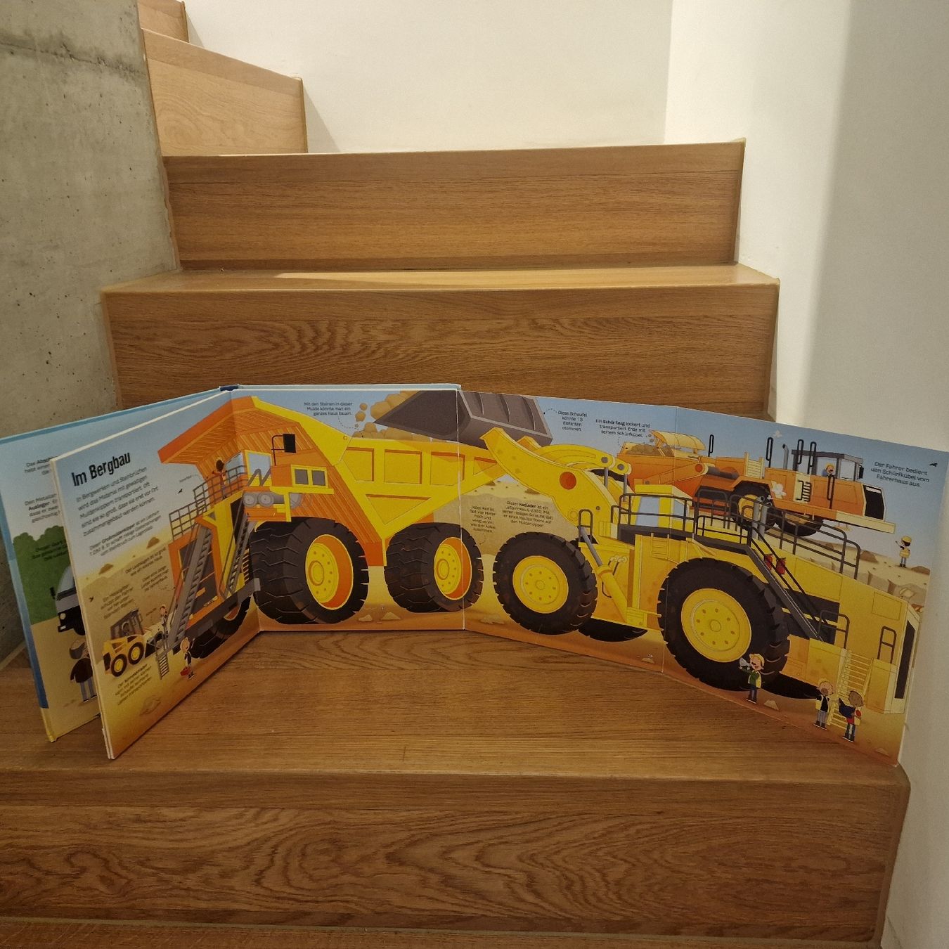 Libri: Das grosse Buch der grossen Lastwagen mit Riesenseiten – Usato da Uetikon am See venduto da Walkingtothemoon 3