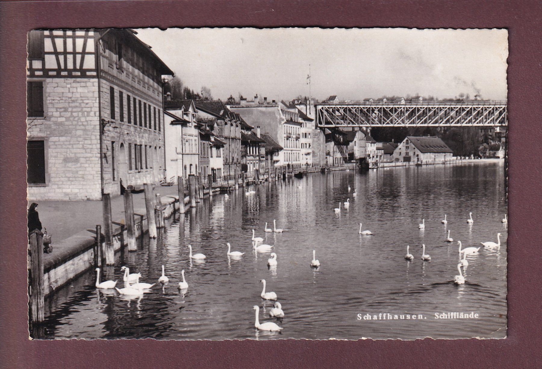 Ansichtskarten: SCHAFFHAUSEN - Schifflände – Gebraucht aus Pully von nicecards