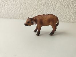 Schleich Kaffernbüffel Kalb Wild Life Ochs Büffel Jungtier