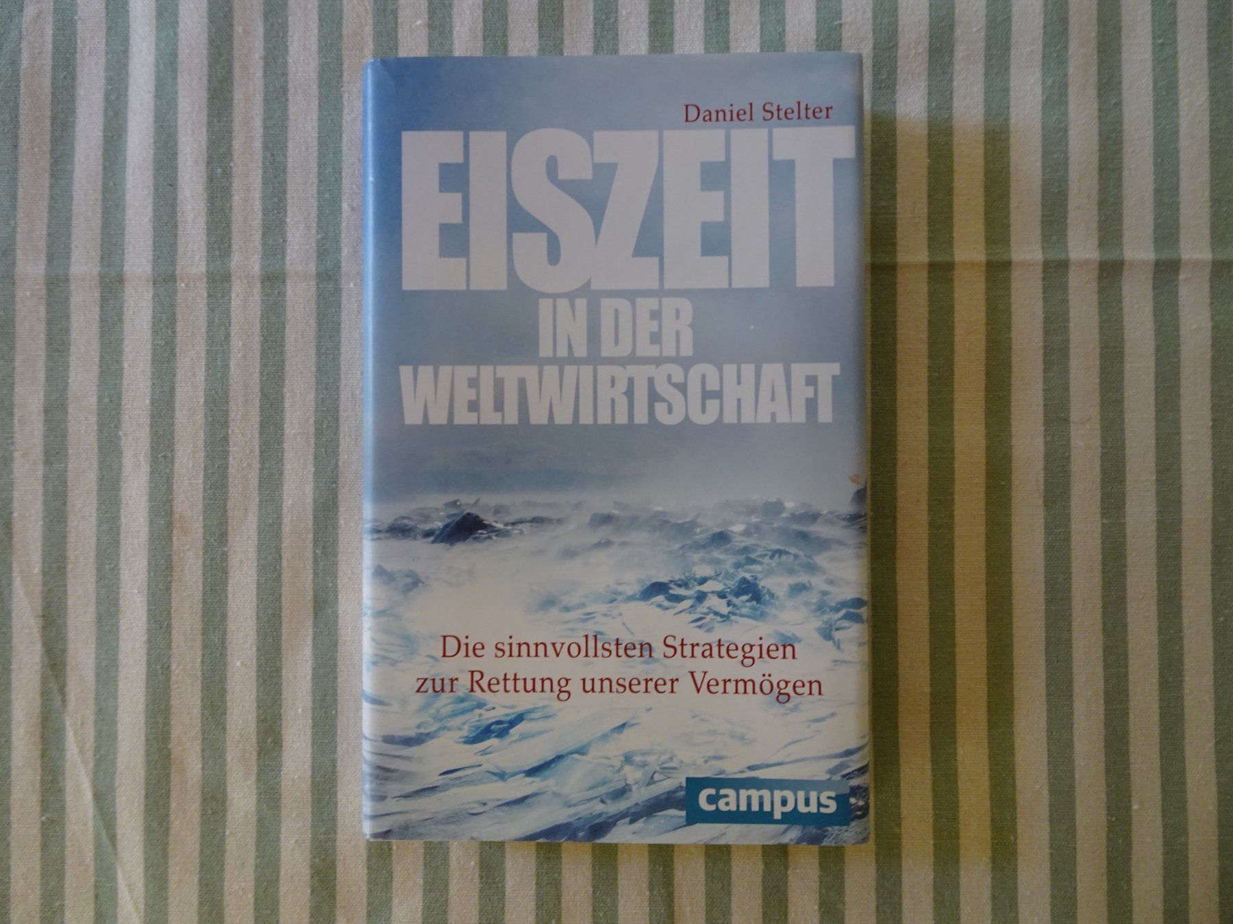 Libri: Daniel Stelter - Eiszeit in der Wirtschaft - B473 – Usato da Küssnacht am Rigi venduto da Bookslove-Divers