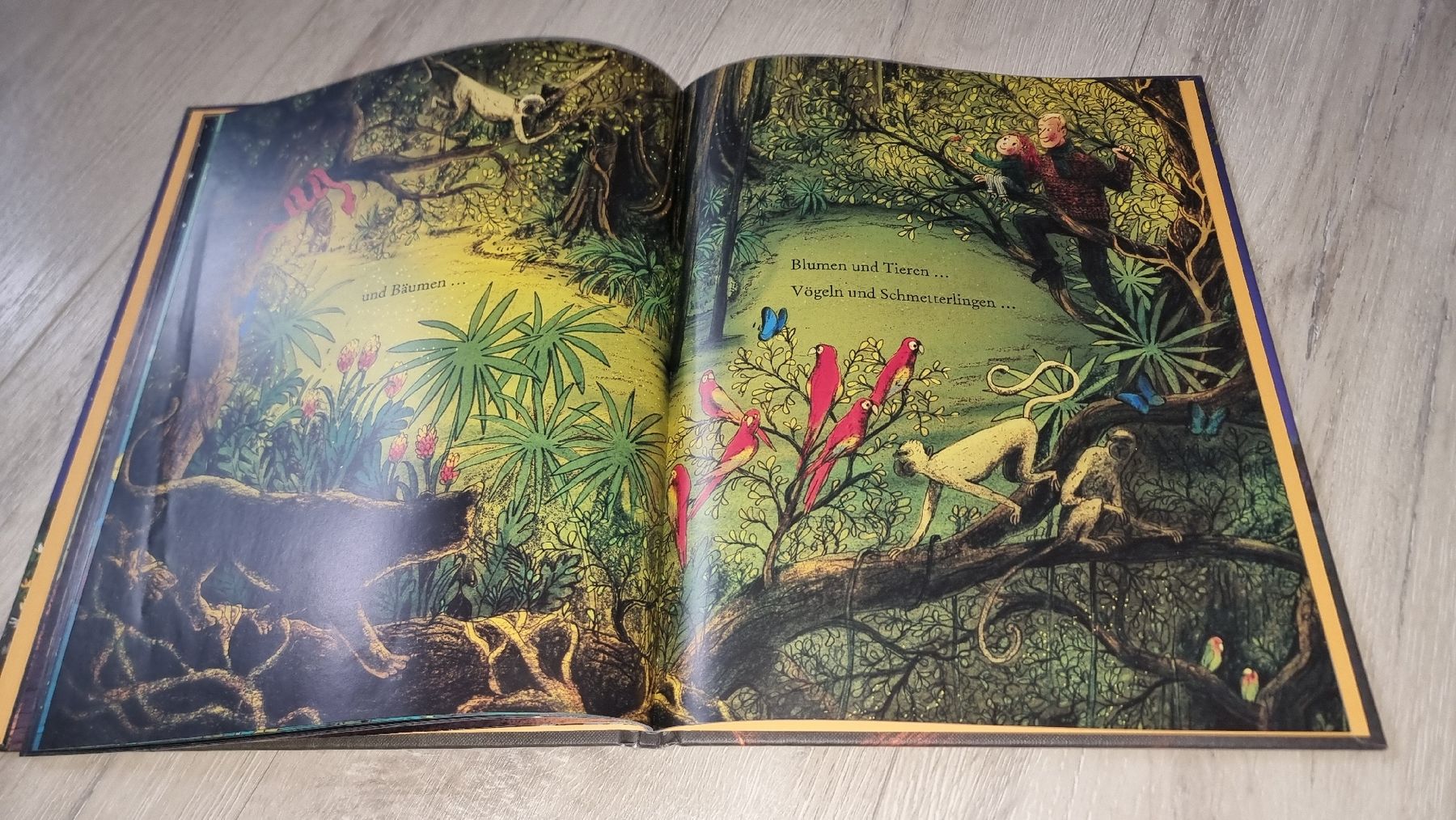 Libri: Kinderbuch Sternenstaub von Jeanne Willis  – Usato da Wigoltingen venduto da Zuckerfee84 2
