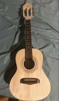 Cavaquinho APC instruments