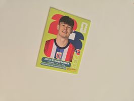 Panini WM 26 - NOR18