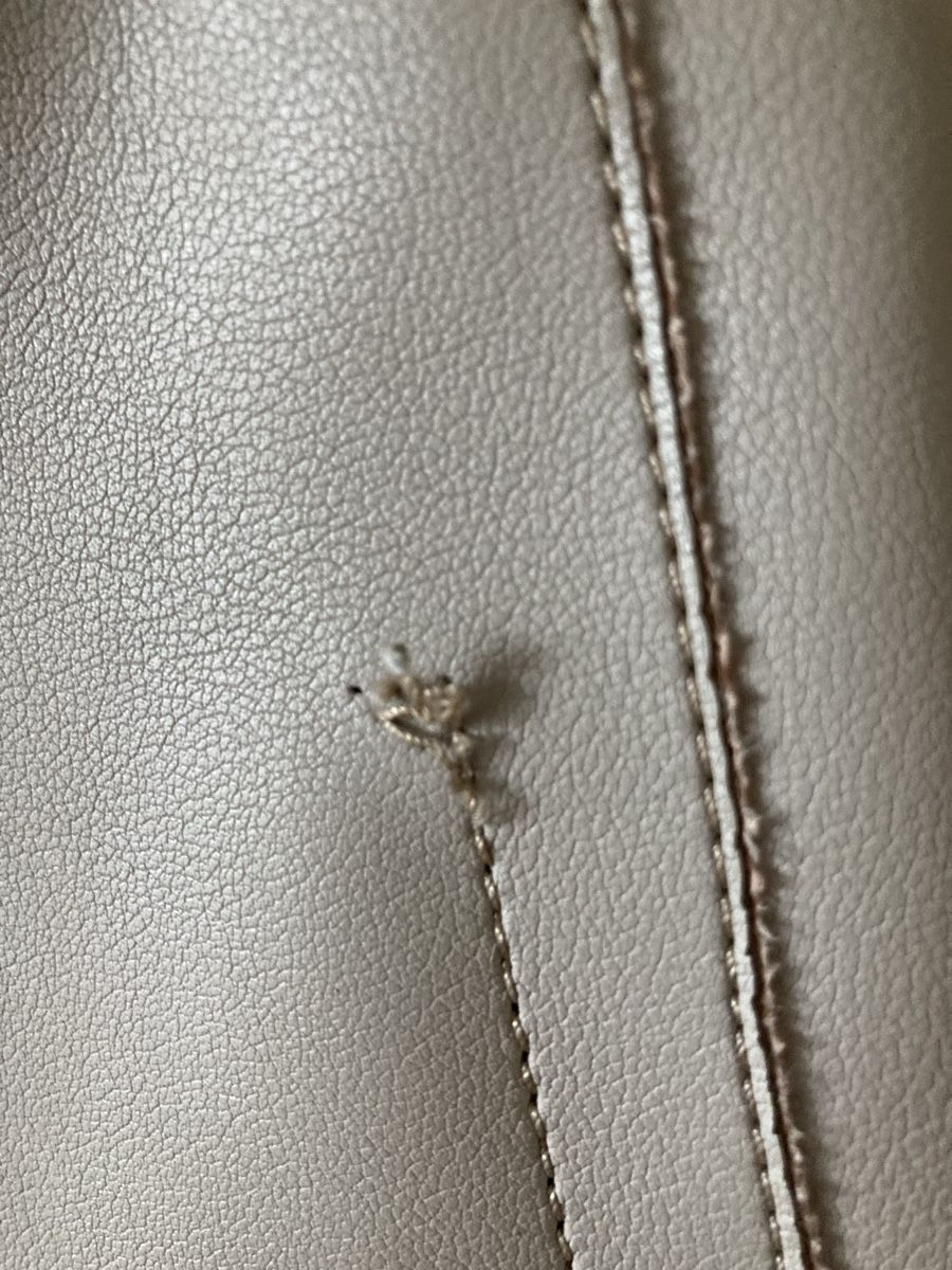 Rossis Taschen für Damen: Rossis Tasche Neu – Gebraucht aus Schaffhausen von christamawe 6