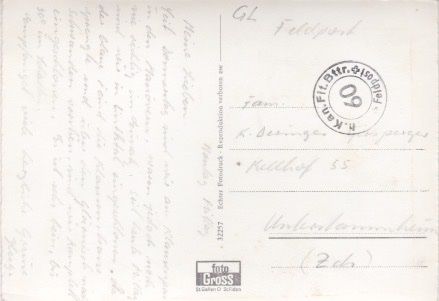 Cartoline postali: LINTHAL (Glarus) Blick gegen Braunwald. – Usato da Schlieren venduto da Rapaelli 1