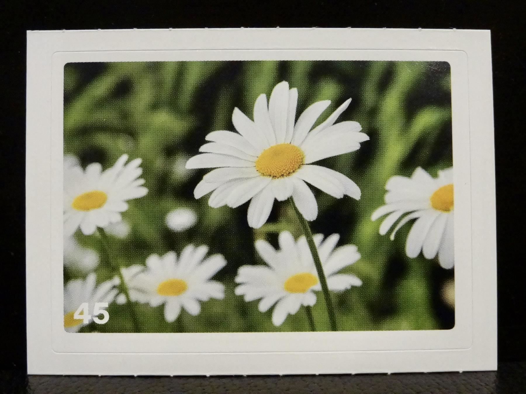 Migros Cartes à collectionner: MIGROS MANIA Nature Detectives Nr. 45 – Neuf avec emballage d'origine à Kerzers par zimmergruen