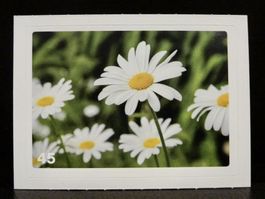 MIGROS MANIA Nature Detectives Nr. 45