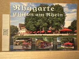AK von Restaurant Rhygarten Ellikon am Rhein