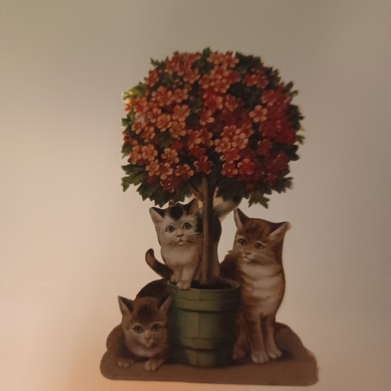 Poster & Bilder: antike Oblade mit Katzen – Gebraucht aus Abtwil SG von luupsy