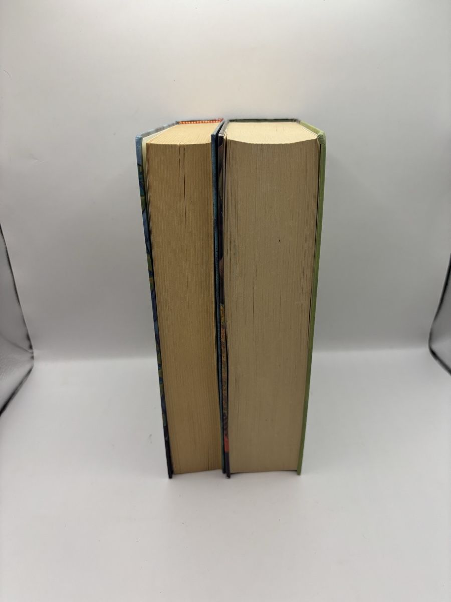 Libri: 2x Buch Harry Potter DE – Usato da Genève venduto da sho_67qj 3