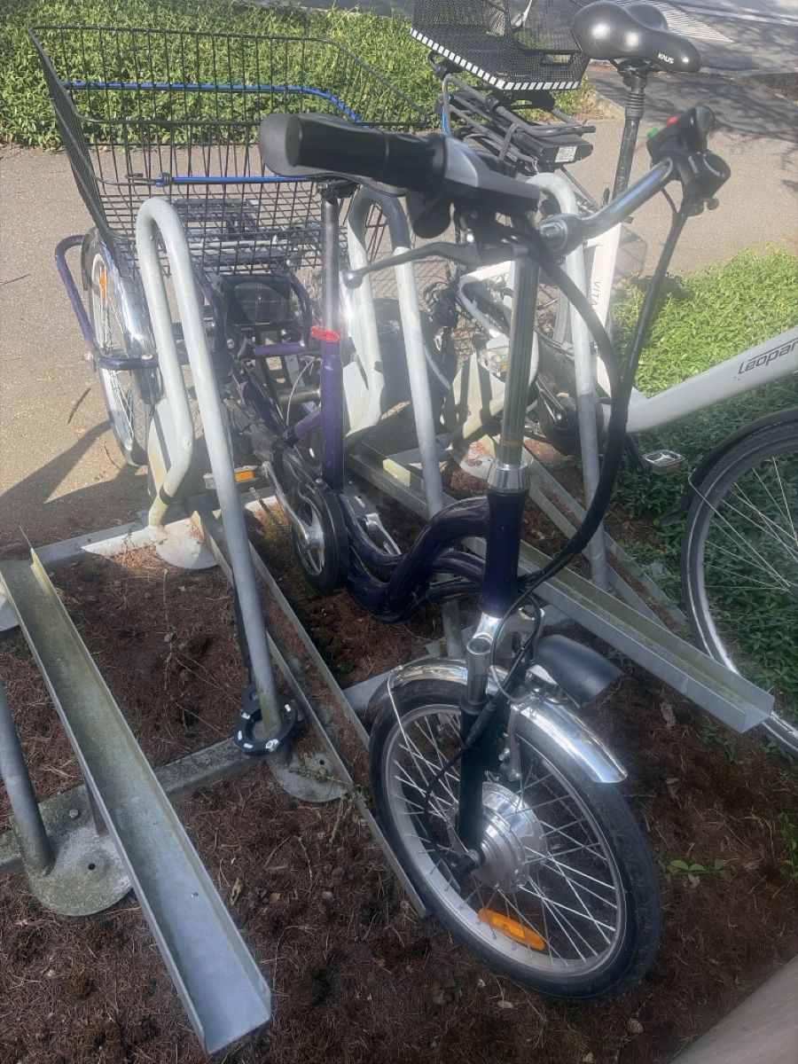 Biciclette: Praktisches E-Dreirad mit grossem Korb – Usato da Zürich venduto da Blume1103