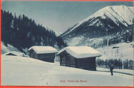 Partie bei DAVOS No. 9119