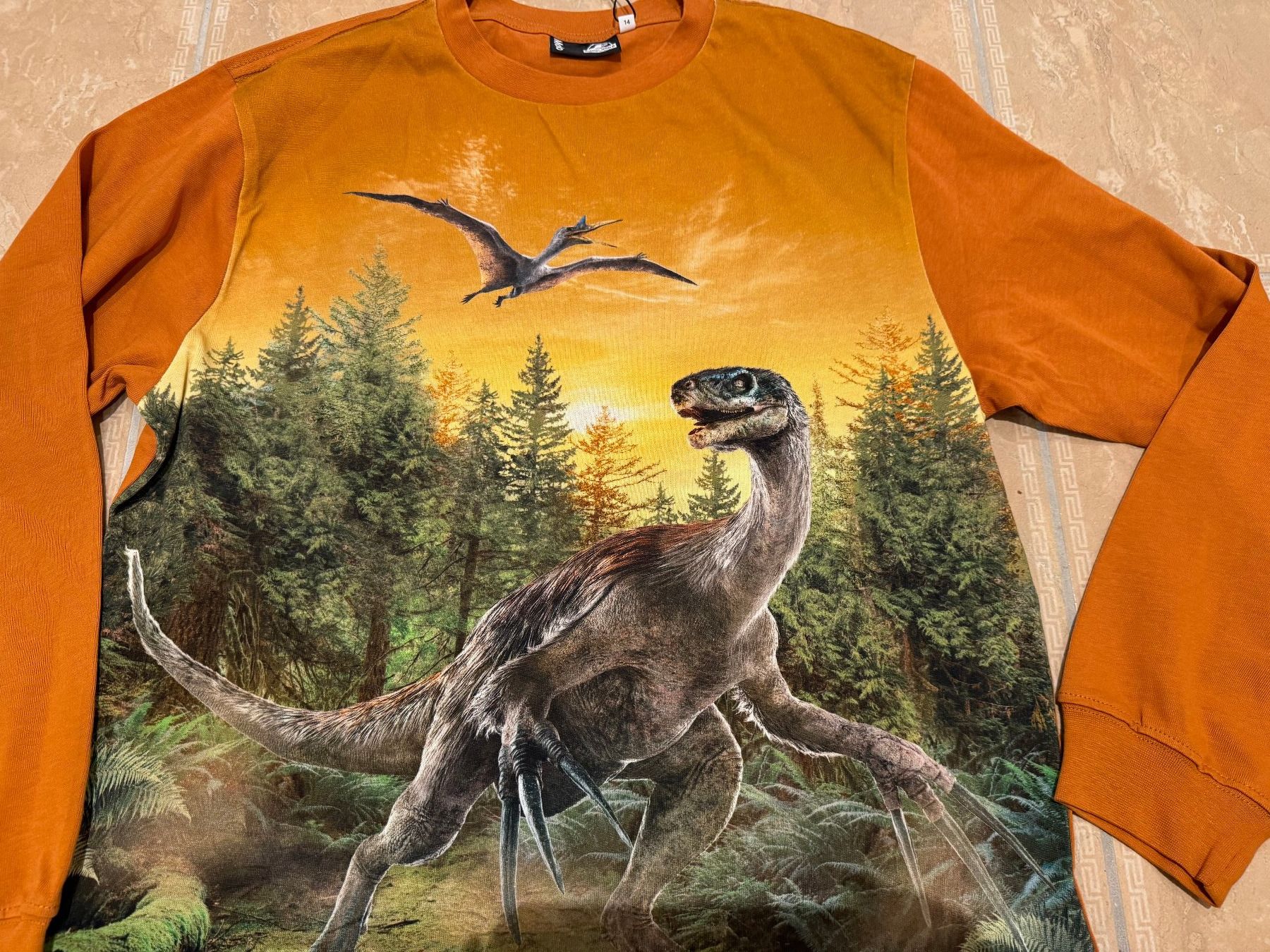 Molo Maglioni & Felpe: Molo neuer Pulli, 14J 164 NP 70 Fr – Nuovo e nell'imballaggio originale da Klingnau venduto da Markus14 1