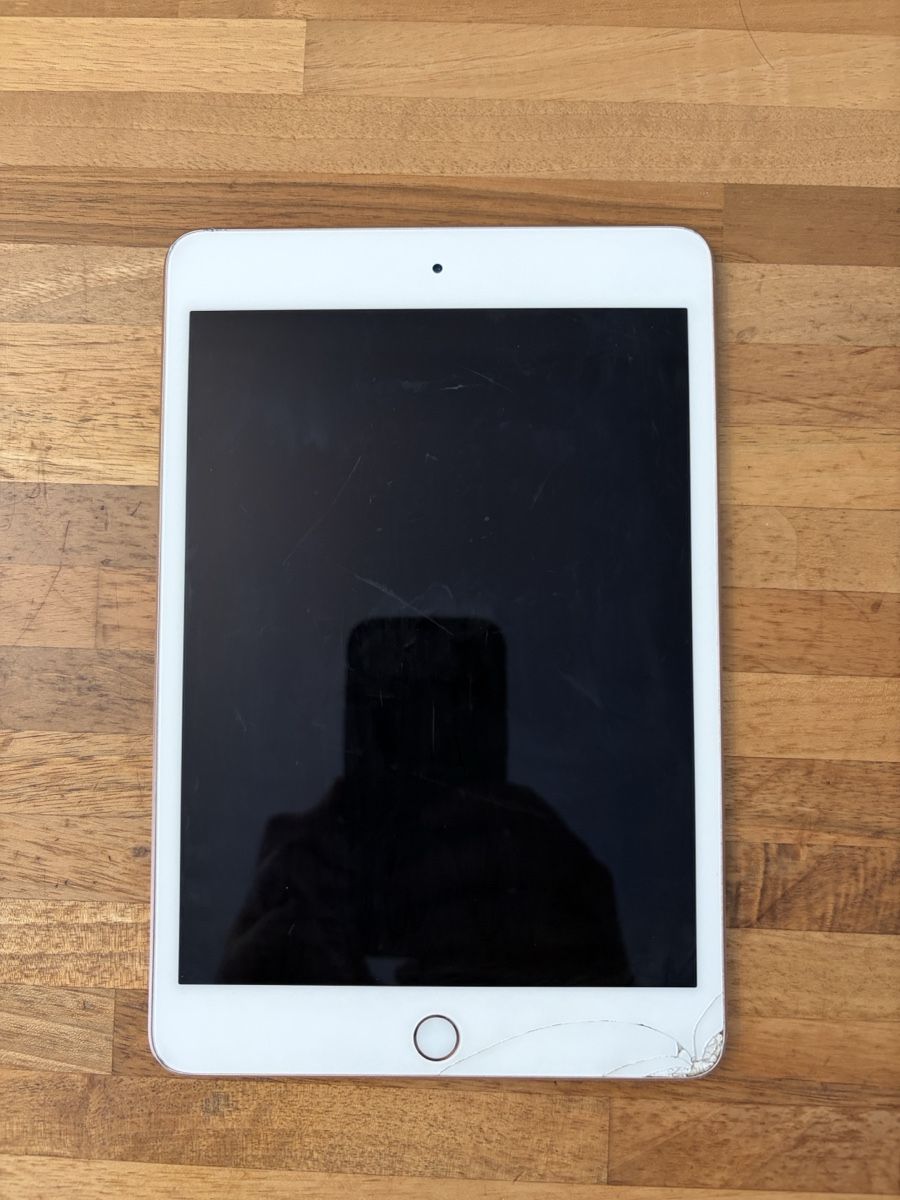 Apple Tablet PC: Apple iPad Mini 5 256 GB Rosé  – Difettoso da Müllheim Dorf venduto da Checker87