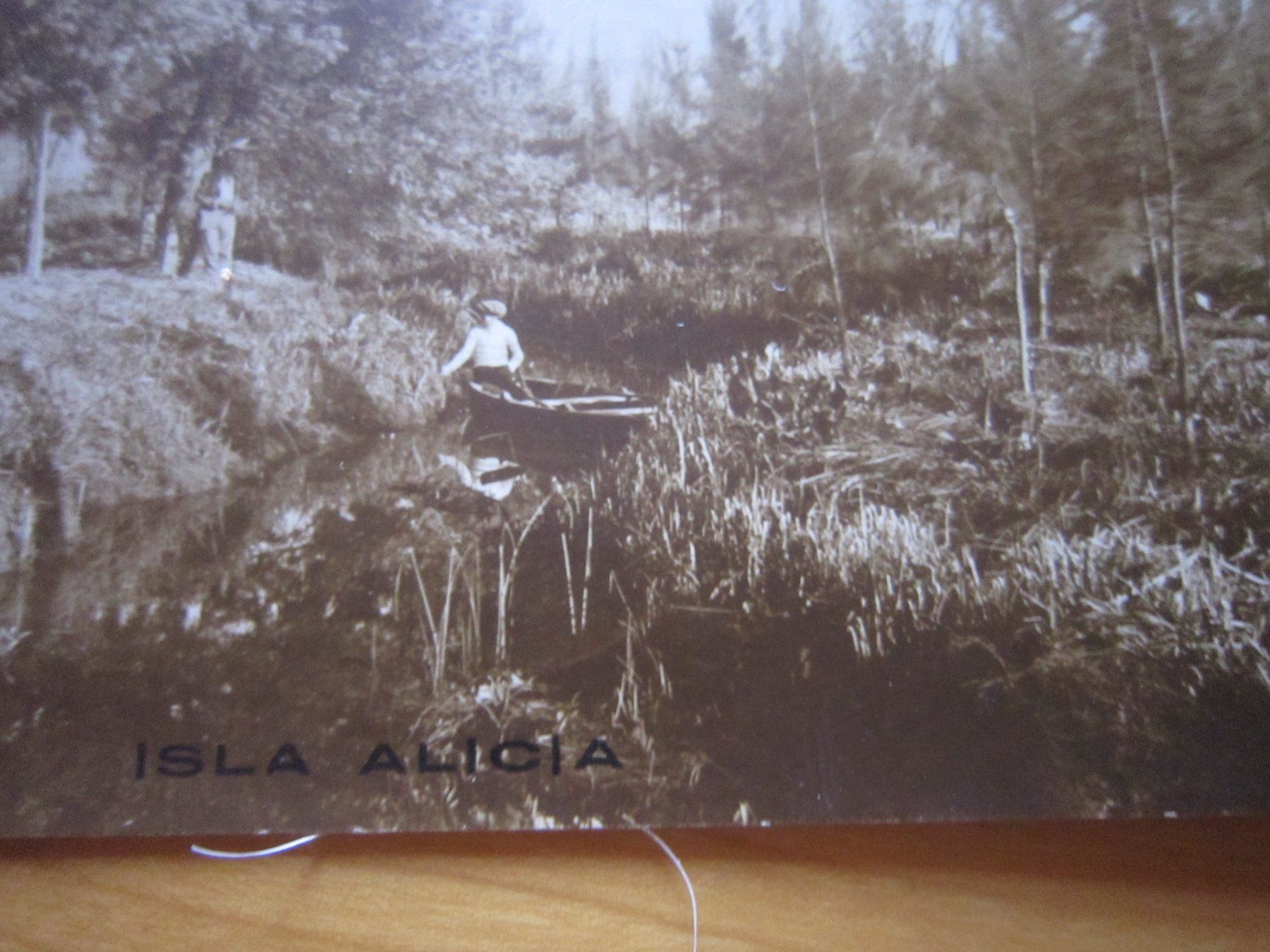 Cartoline postali: No 8 Postkarte ISLA ALICIA 1926 – Usato da Gordola venduto da Polentaefung 1