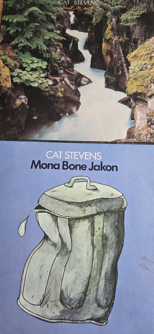 Vinyles: Cat Stevens Mona Bone Jakon,Back to Earth Vinyles – D'occasion à Yvonand par RF-VINYL