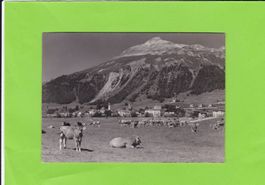 Samedan, weidendes Vieh