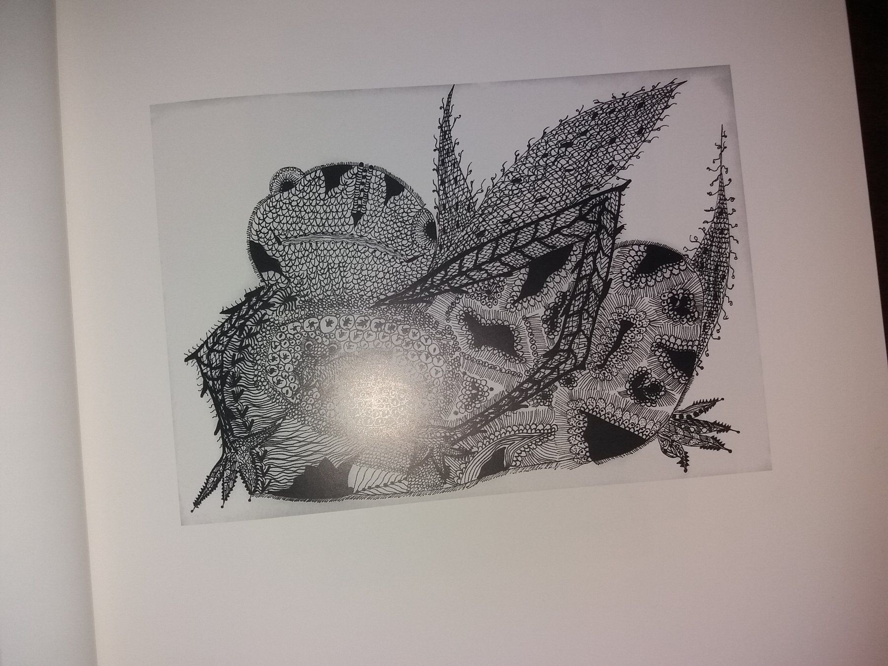 Libri: KUNSTKLASSIKER Unica Zürn BILDER selten – Usato da Welschenrohr venduto da Regool 4